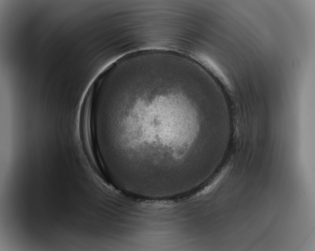 X0000094900884200712061026