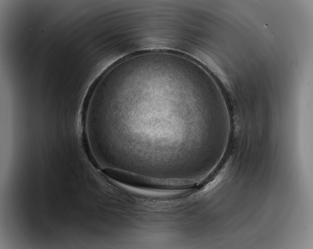 X0000094900885200712061026