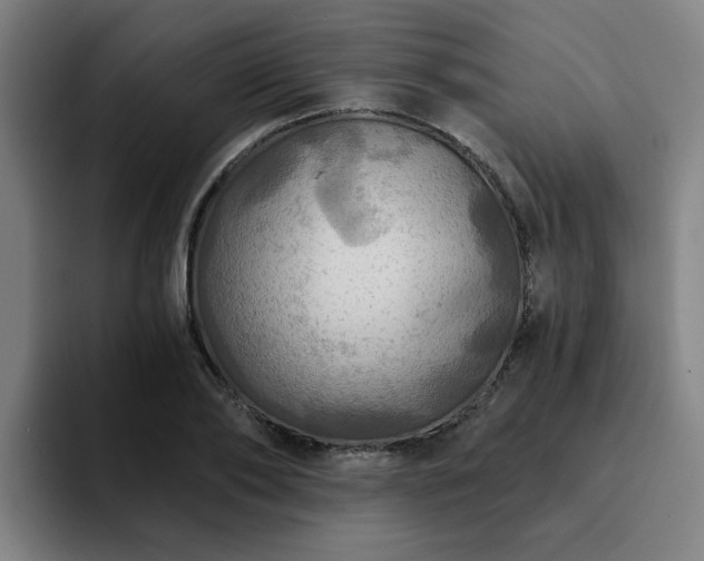 X0000094900886200712061026