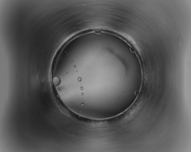X0000094900887200712061026