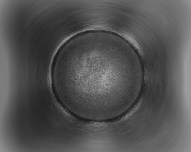 X0000094900888200712061026