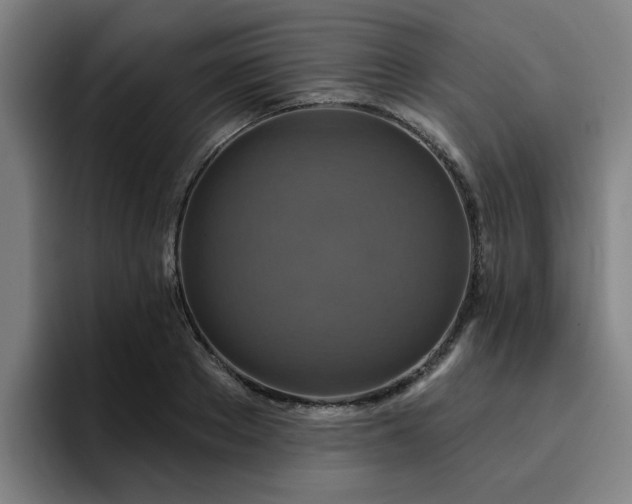 X0000094900889200712061026