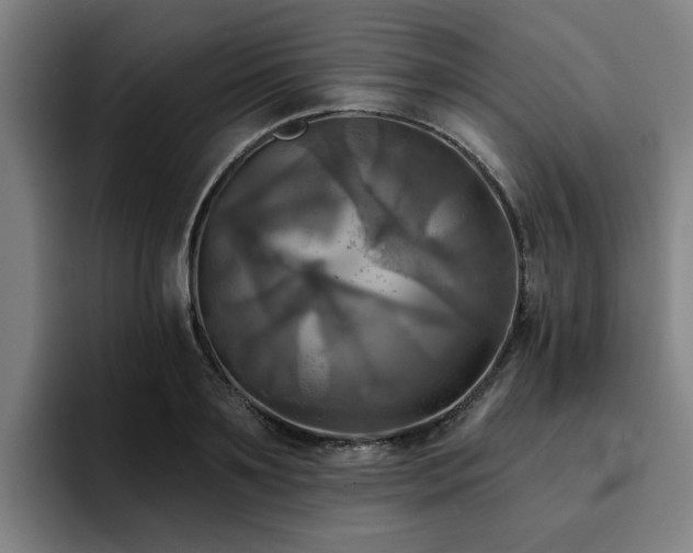 X0000094900891200712061026