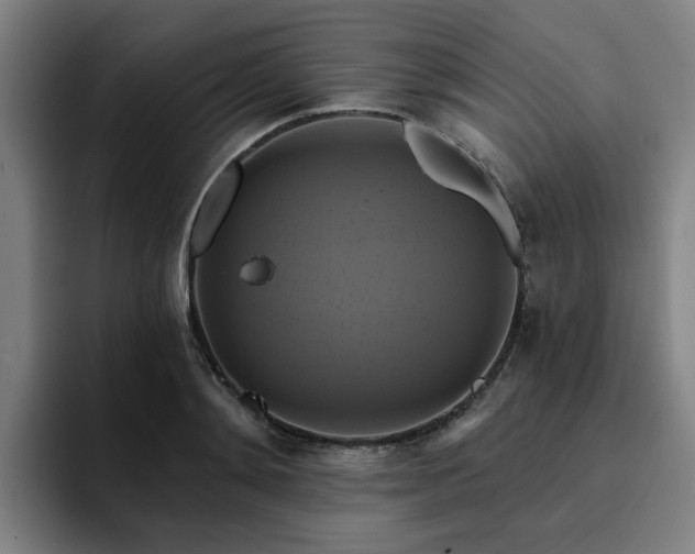 X0000094900892200712061026