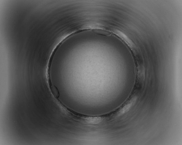 X0000094900893200712061026