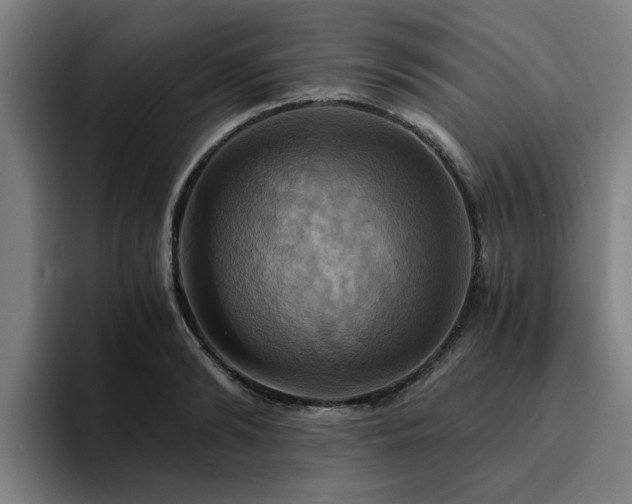 X0000094900894200712061026