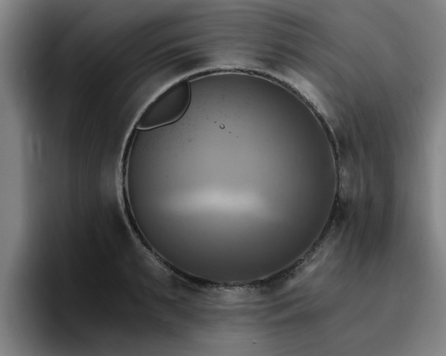 X0000094900895200712061026