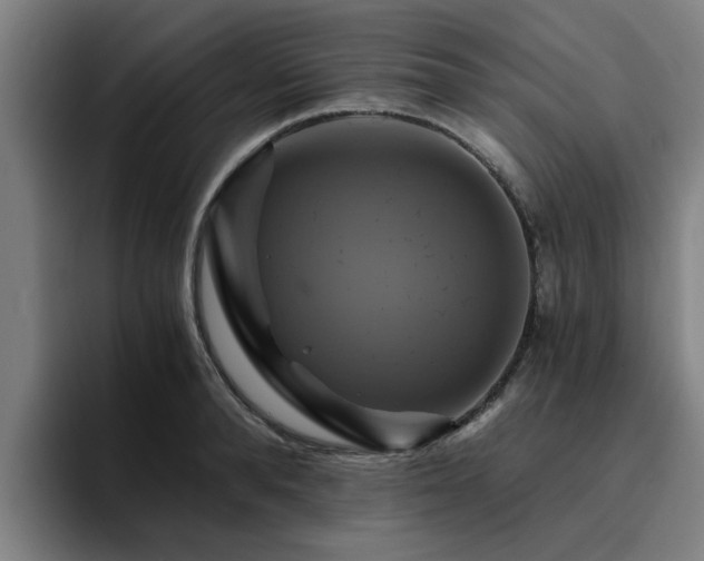X0000094900896200712061026