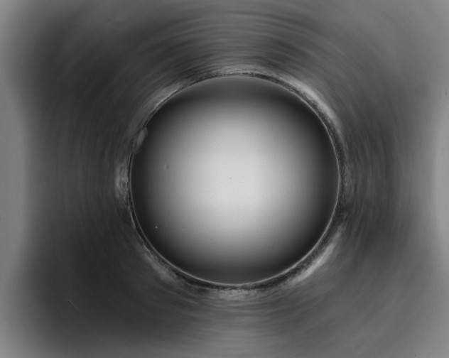X0000094900897200712061026