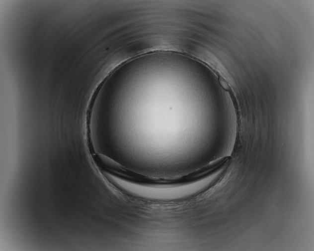 X0000094900898200712061026