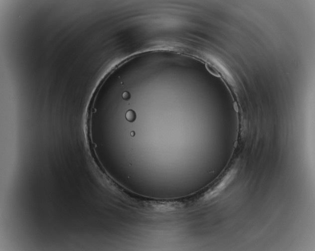 X0000094900899200712061026