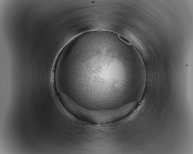 X0000094900900200712061026