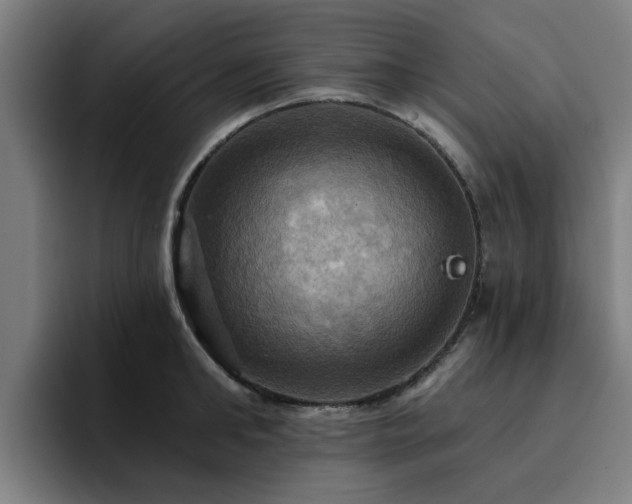 X0000094900902200712061026