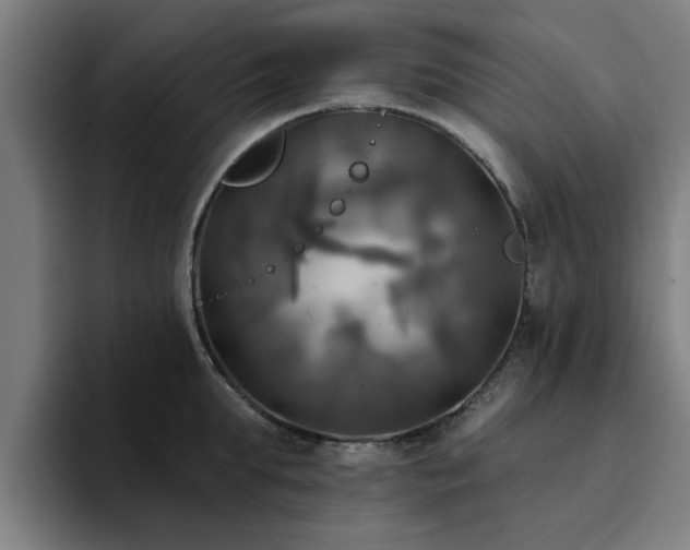 X0000094900903200712061026