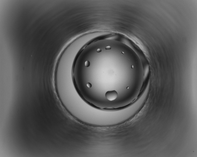 X0000094900904200712061026