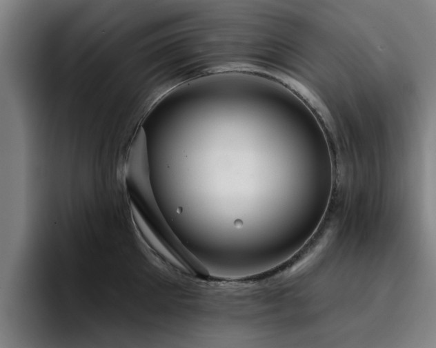 X0000094900905200712061026