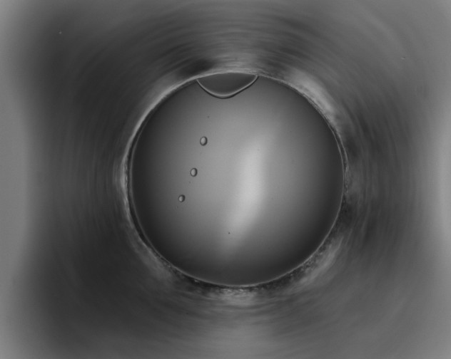 X0000094900907200712061026