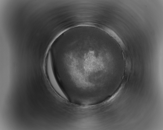 X0000094900908200712061026