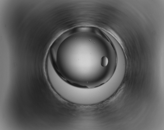 X0000094900909200712061026