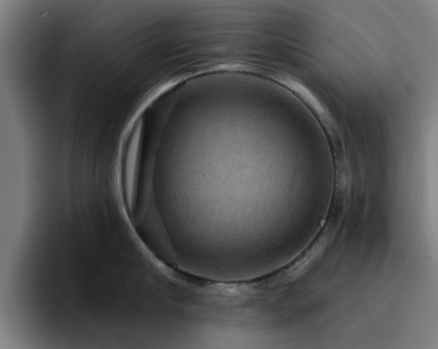 X0000094900910200712061026