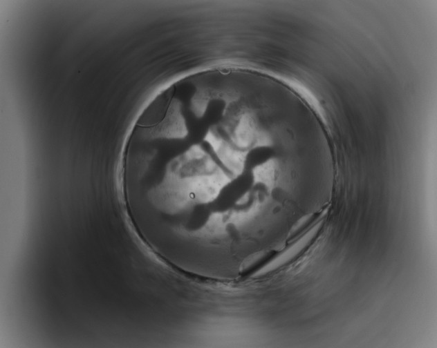 X0000094900911200712061026