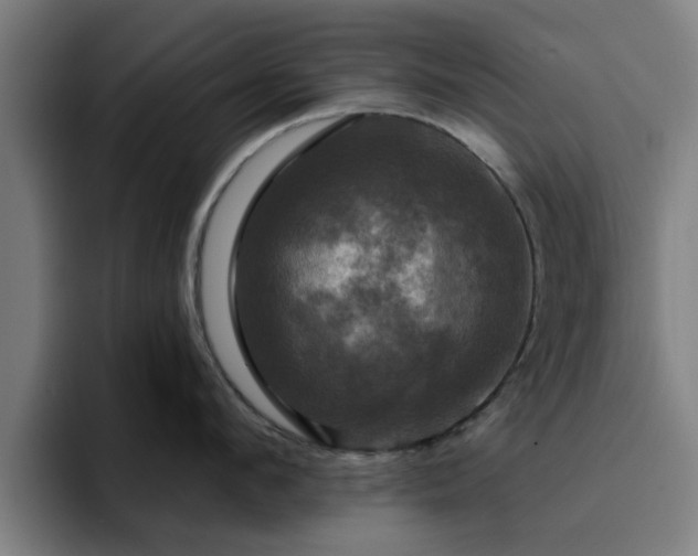 X0000094900912200712061026