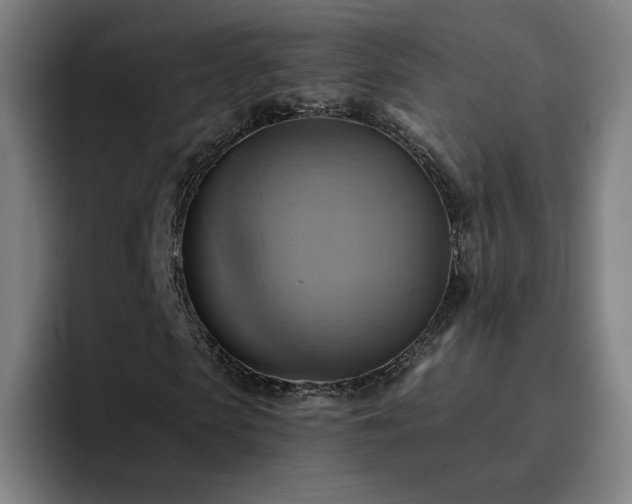 X0000094900913200712061025