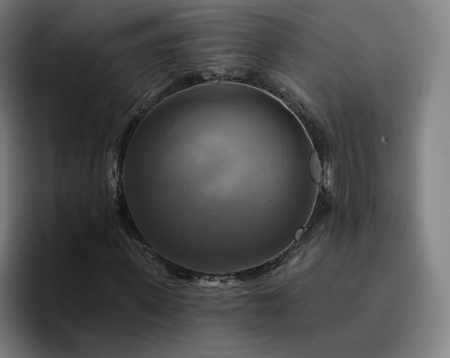 X0000094900915200712061025