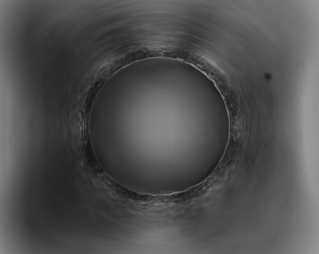 X0000094900917200712061025
