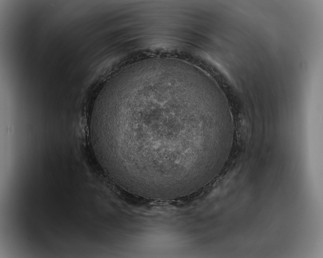 X0000094900918200712061025