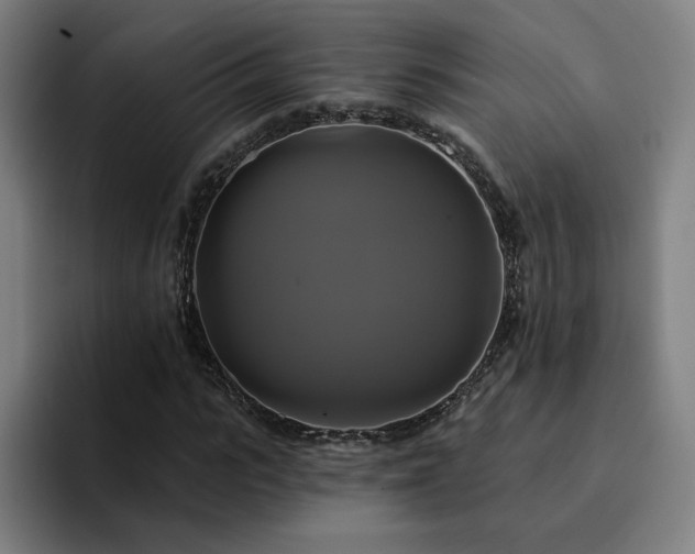 X0000094900919200712061025
