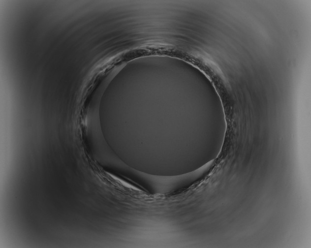 X0000094900920200712061025