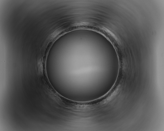 X0000094900921200712061025