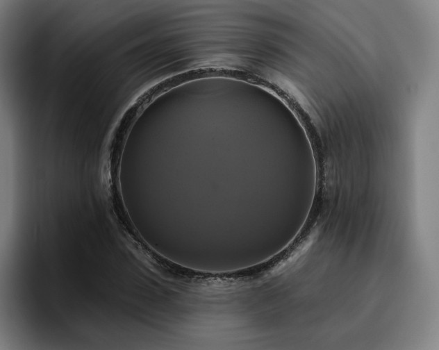 X0000094900923200712061025