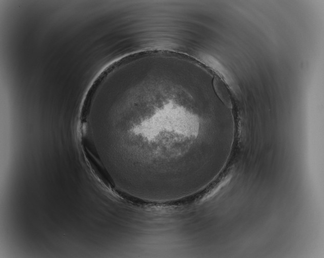 X0000094900924200712061025