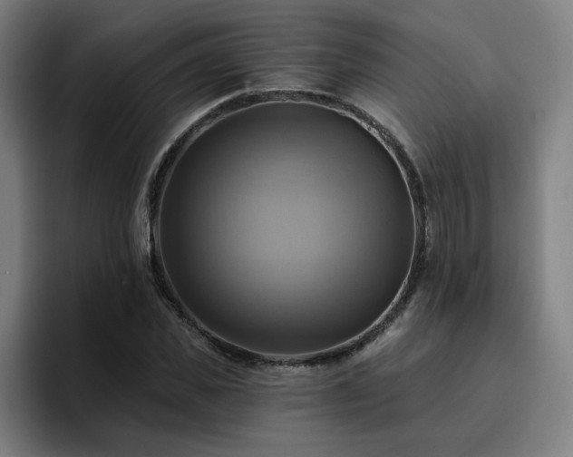 X0000094900925200712061025