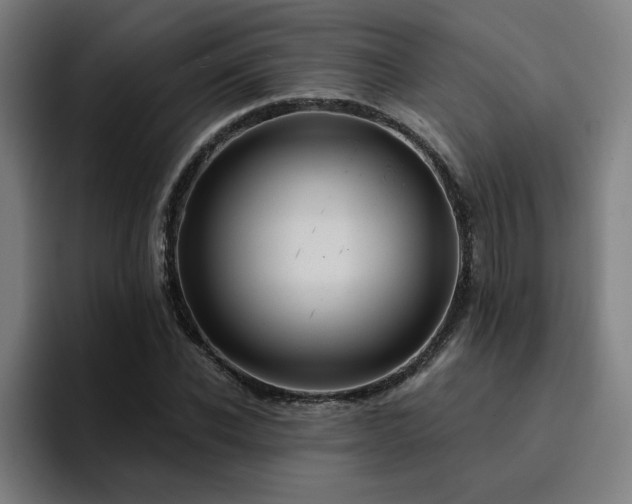 X0000094900926200712061025