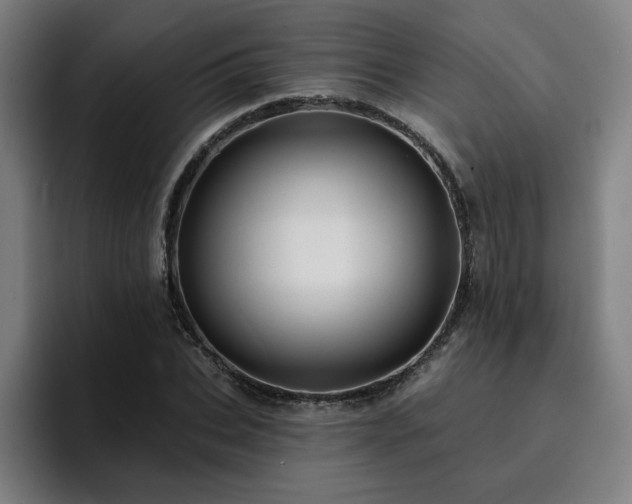 X0000094900927200712061025