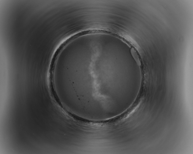 X0000094900928200712061025