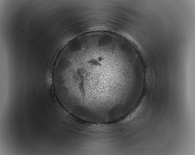 X0000094900929200712061025
