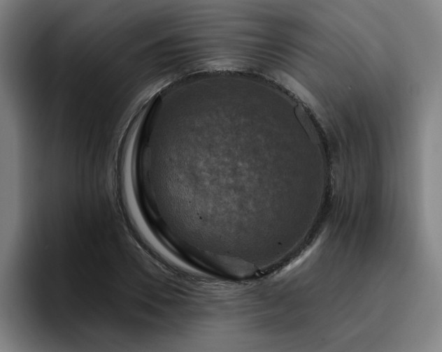X0000094900930200712061025