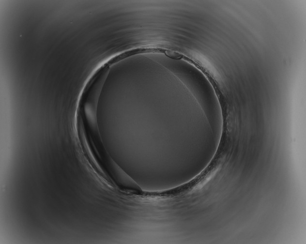 X0000094900932200712061025