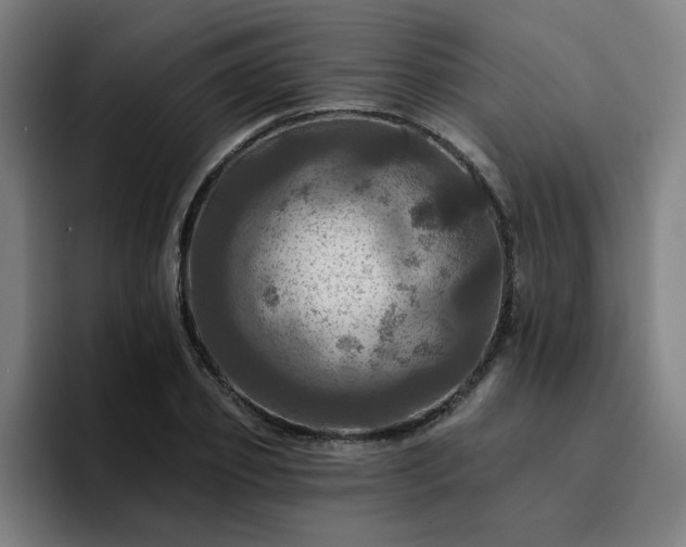 X0000094900933200712061025