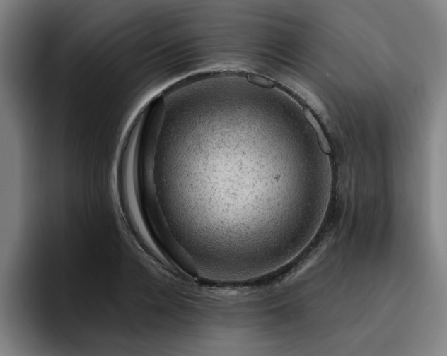X0000094900936200712061025