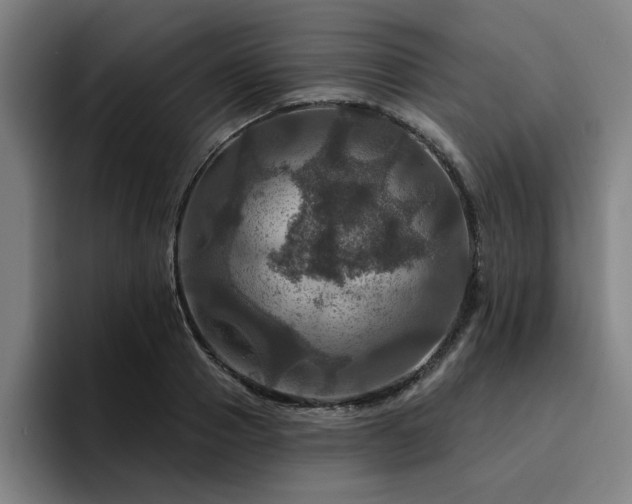 X0000094900937200712061025