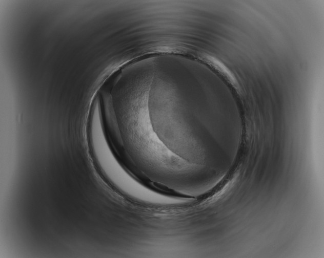 X0000094900938200712061025