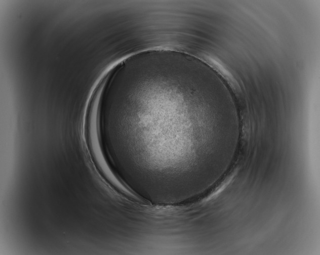 X0000094900940200712061025