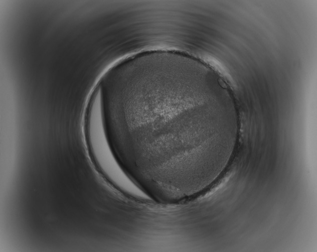 X0000094900942200712061026