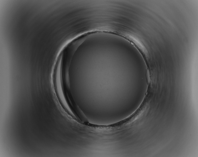 X0000094900944200712061026