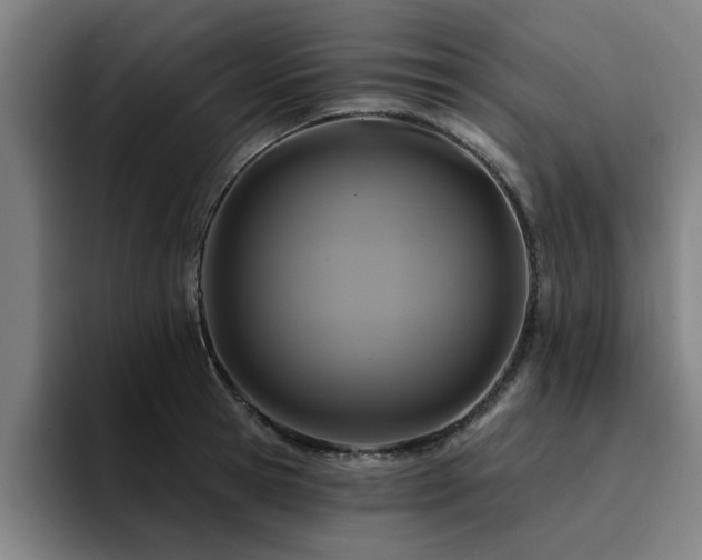X0000094900945200712061026